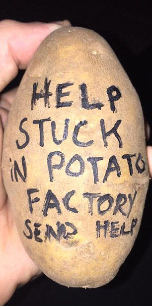 今年過節(jié)不送卡，送土豆！