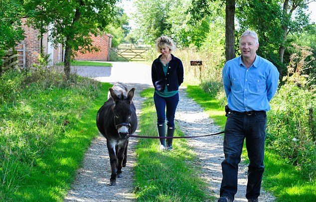 英國3歲小毛驢以為自己是狗 愛遛彎、愛抱抱、愛看網(wǎng)球