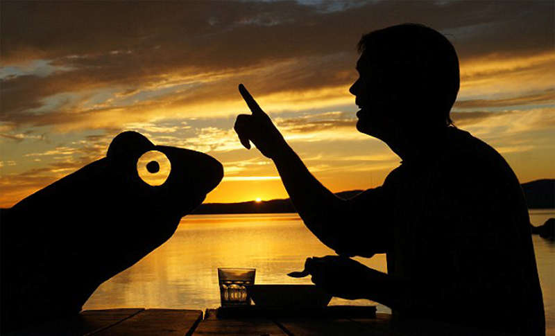 紙板加夕陽 美國藝術家創作趣味剪影