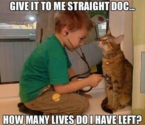 “別繞彎子、直說(shuō)”咋表達(dá)？