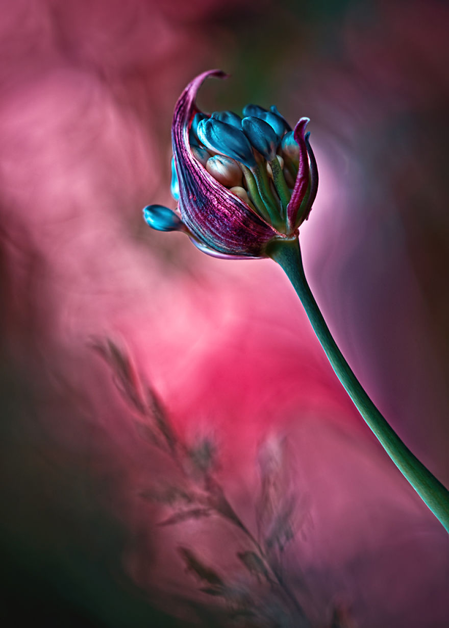 夢幻之美：把大自然拍成仙境（組圖）