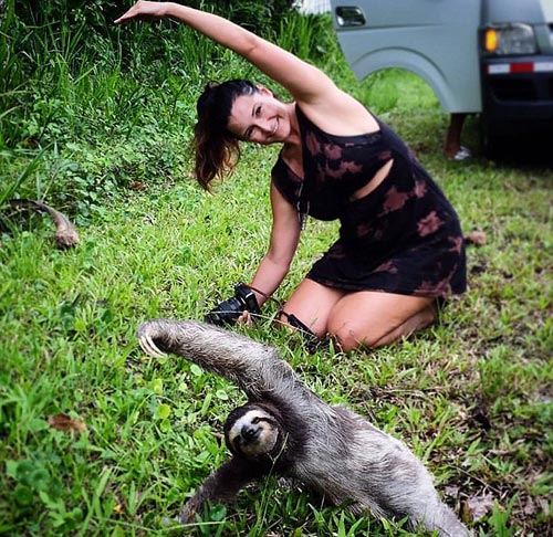 樹(shù)懶其實(shí)沒(méi)那么懶：背包客拍到做瑜伽的樹(shù)懶