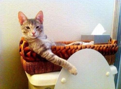 1美元在世界各國可以買到啥？