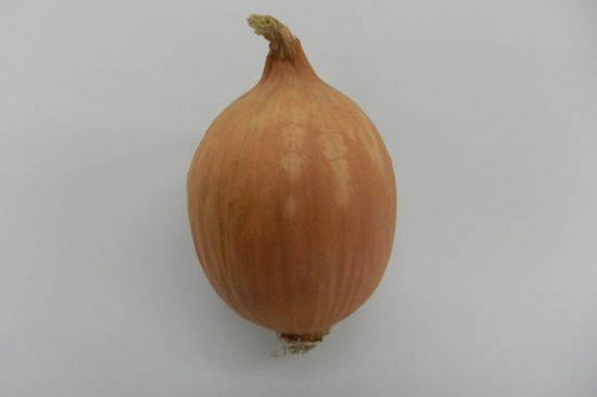 日本研發(fā)出“微笑”洋蔥 讓你切洋蔥時(shí)不再流淚