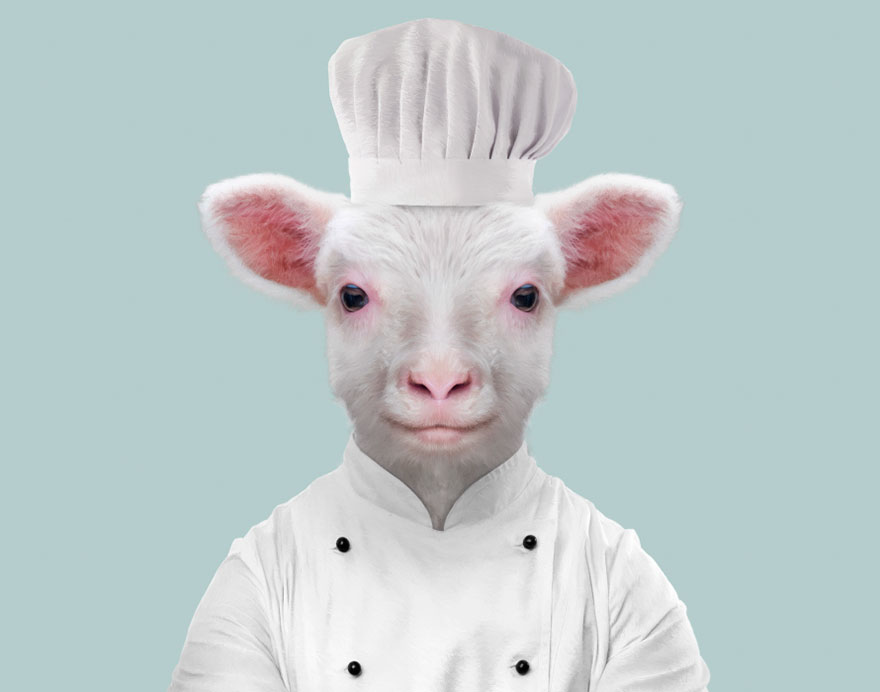 別臭美了：動物穿上衣服比你帥（組圖）