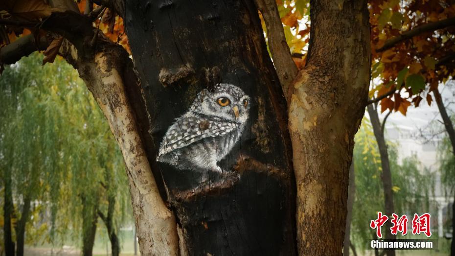 西安一公園現動物“樹洞畫” 惟妙惟肖引圍觀（組圖）