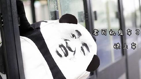 盤點：2016年度網絡熱詞你全懂嗎？（組圖）