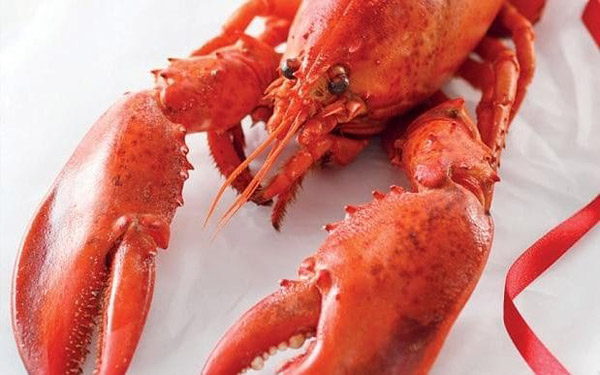 高級冷凍食品獲英國中產家庭青睞