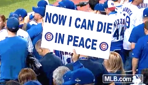 淚目 2016最暖心的13個(gè)瞬間