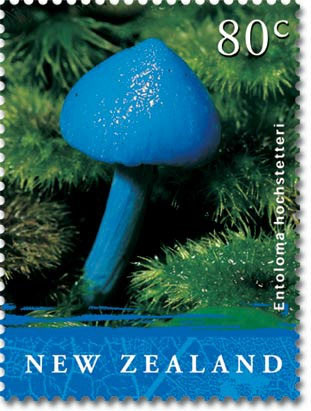 2016年十大網絡流行語