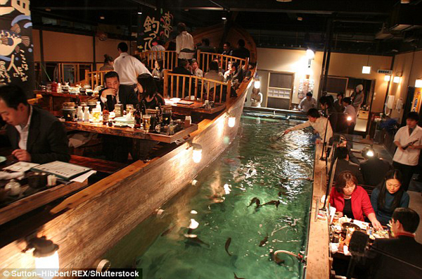 受不了臭豆腐、血腸 老外卻有更奇葩的美食