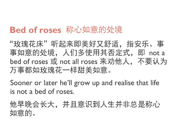 “花語(yǔ)”：和花有關(guān)的英語(yǔ)表達(dá)