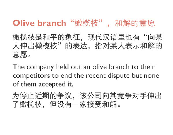 “花語(yǔ)”：和花有關(guān)的英語(yǔ)表達(dá)