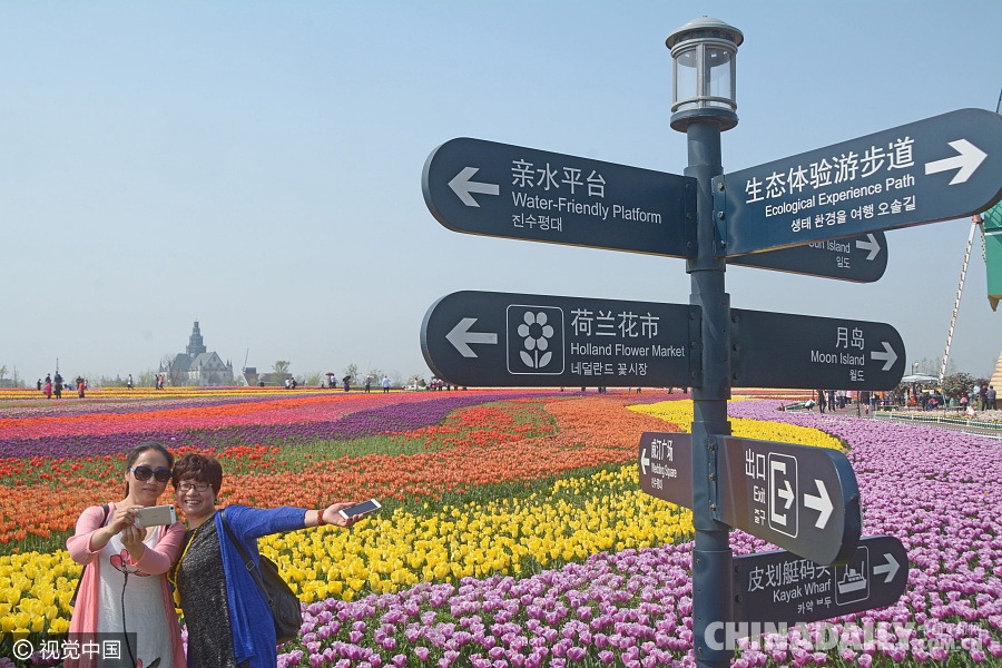 大好春光豈可負？世界各地盡享花海美景（組圖）