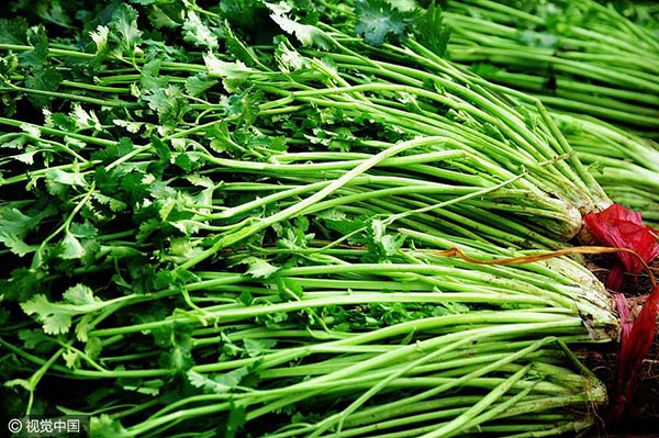 “一帶一路”引入中國的那些食材（組圖）