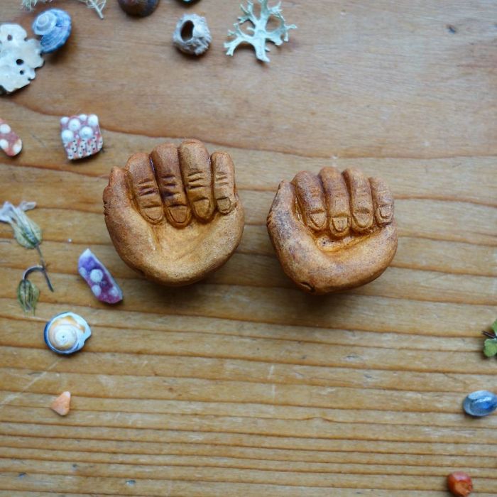 原來牛油果里住著個大胡子神仙（組圖）