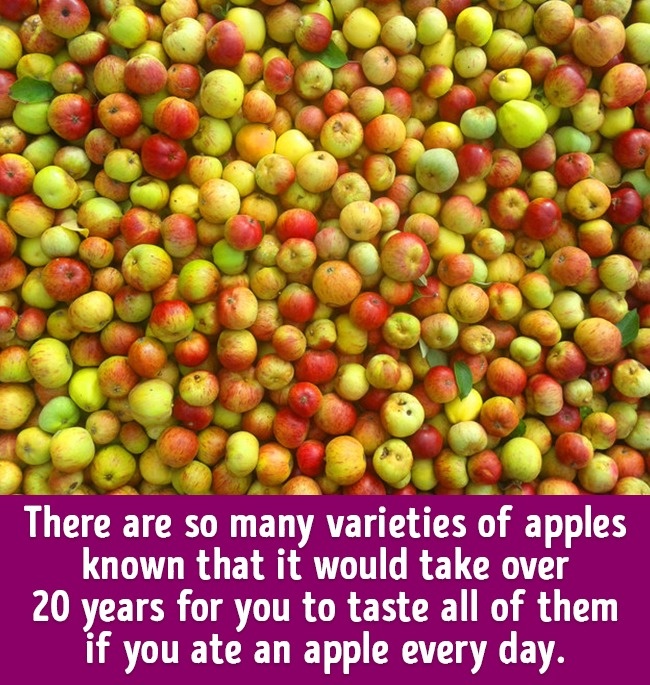 關于食物的20個冷知識 刷新你的食物觀（組圖）