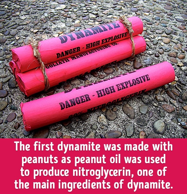 關于食物的20個冷知識 刷新你的食物觀（組圖）