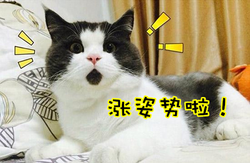 萬萬沒想到！七個讓你驚呼“厲害了”的冷知識