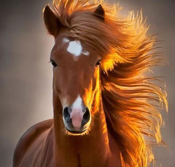 來(lái)自你身體的一封信：不許你再欺負(fù)我！