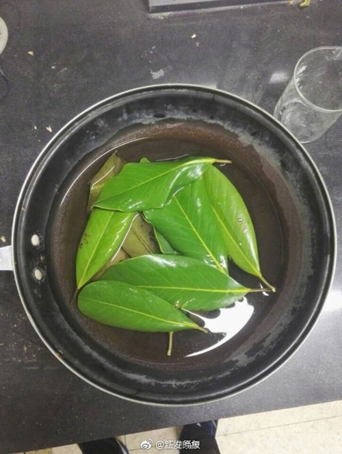 6000片樹葉做出美裙 原來他們是這么做到的！