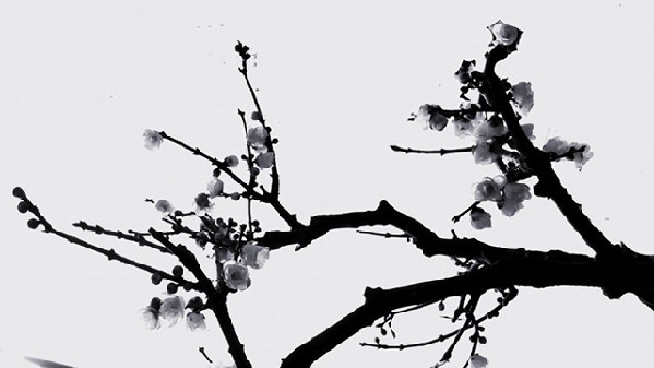 翻譯輕重“神”在先，古典翻譯為今人