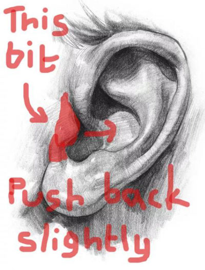 10個關于身體的小秘密，為什么我現在才知道！