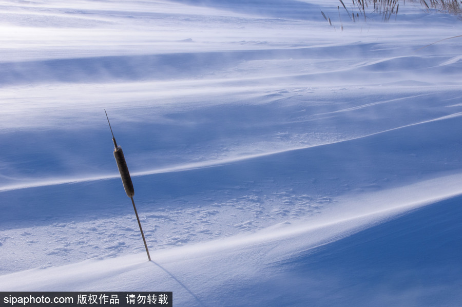 純凈的北方國度 加拿大冬日風光（組圖）