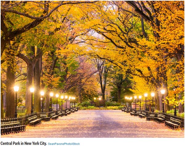 2017年游客最愛去的20個城市（組圖）