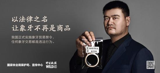 2018年起中國全面禁止象牙貿易