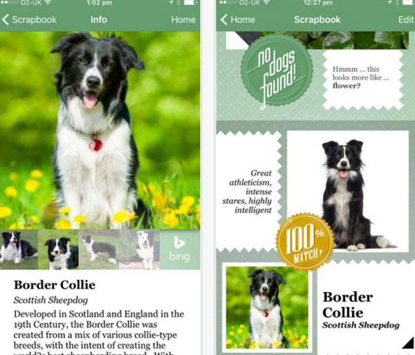 谷歌應用“名畫匹配”功能：測測你和哪幅名畫撞臉了