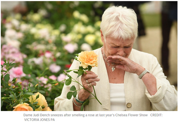 醫生警告：把噴嚏憋回去 可能引發身體損傷