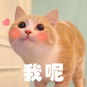 調查顯示狗奴比貓奴賺得多，你覺得準嗎？