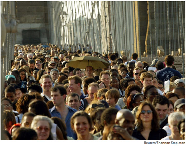 世界上最致命的動物 第一名居然不是人類