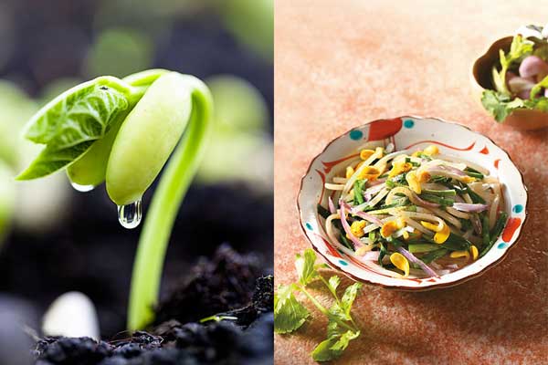 春天吃這10種食物 美味又養生