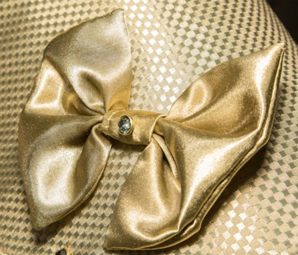 貧窮限制了我的想象力：全球最貴寵物狗外套，價值86萬元