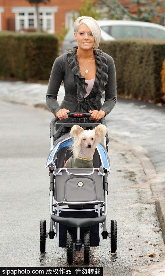 人不如狗系列！走進全世界最奢華的狗狗生活（組圖）