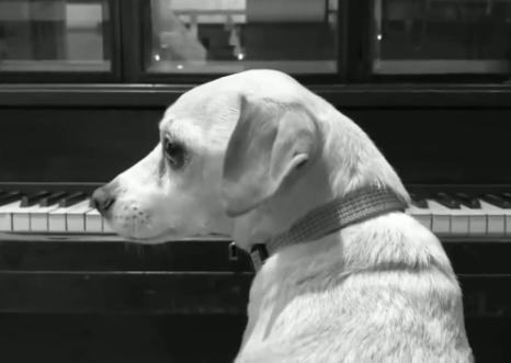 被劇透逼瘋的劇組：漫威不給演員看劇本，《權游》拍假結局