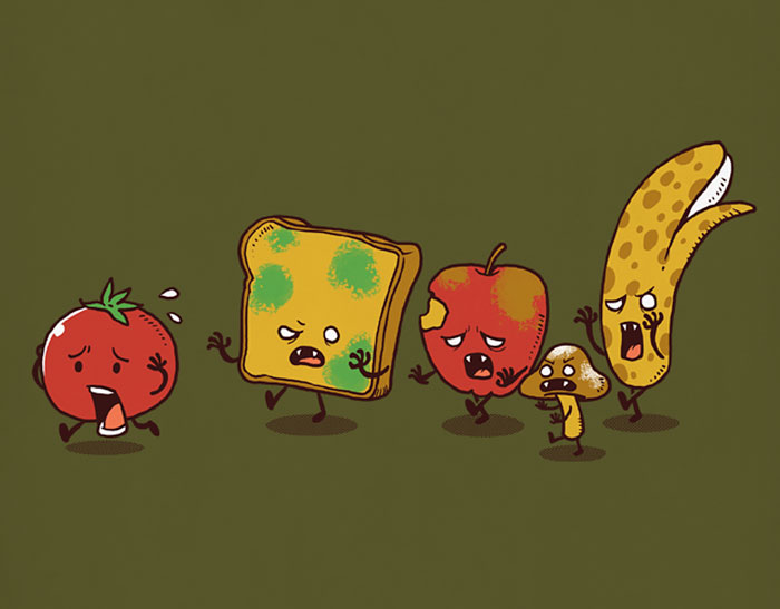 南瓜馬車吃掉了灰姑娘？當流行文化碰上黑色幽默（組圖）