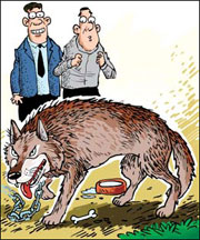 Neighbors find man's pet is wolf in dog's clothing