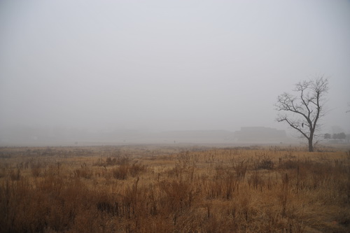 Stories of Daming Palace