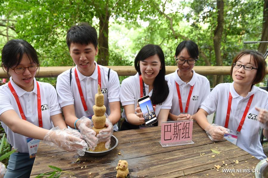 Participants of Cross-Strait Youth Festival learn panda conservation