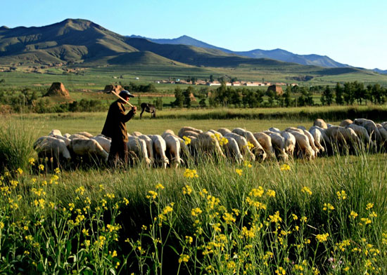 Photography document of pastoral life by the Great Wall in the four seasons