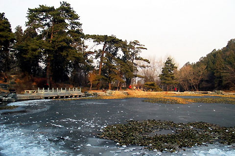 Jingcui Lake and Fragrant Hill