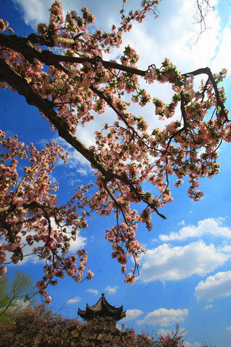 Jinan, a waterside city