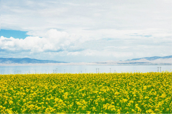 Xining, the gateway of the Tibetan Plateau