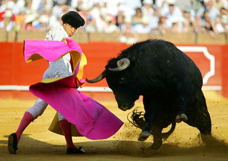 Colombian matador Luis Bolivar performs a pass to a bull during a bullfight at the Maestranza bull-ring in Seville April 29, 2006.
