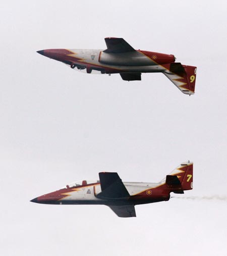 Members of the Spanish Air Force acrobatic group 'Patrulla Aguila' fly over Samil beach in Vigo, northern Spain during an aerial exhibition July 22, 2007. 