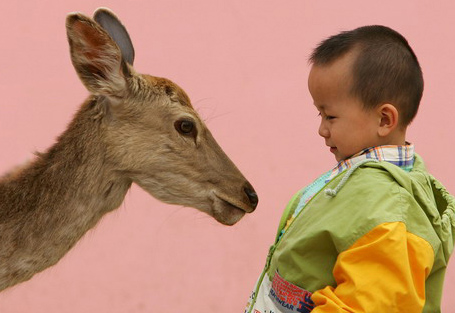 Chen Jie: mission possible