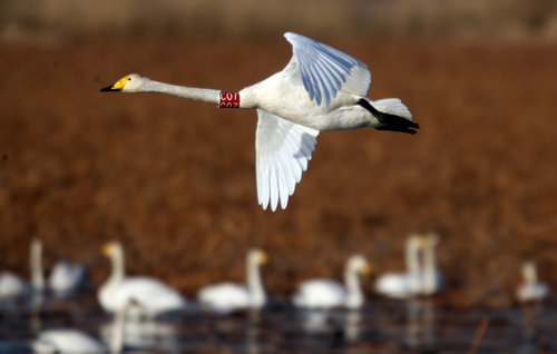 Weekly Photos: Dec. 20-26